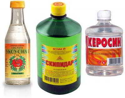 Как вывести из квартиры тараканов и клопов самостоятельно