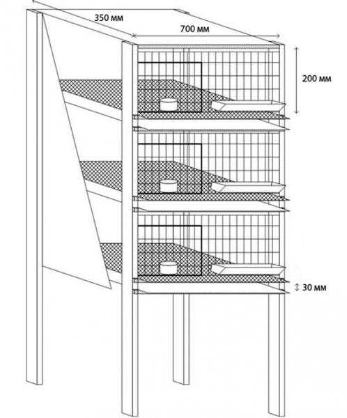 Клетки для перепелов: чертежи фото