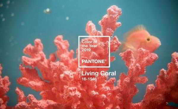 Как использовать в интерьере теплый коралловый - самый модный цвет года    
