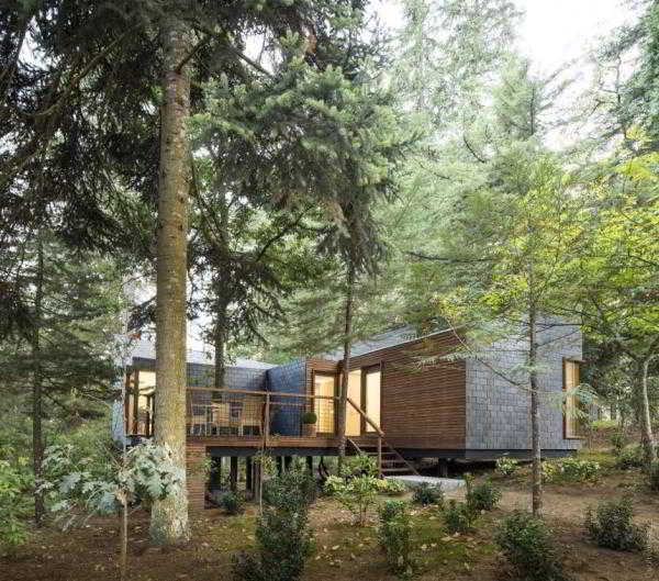 Уютный гостиничный комплекс в лесу