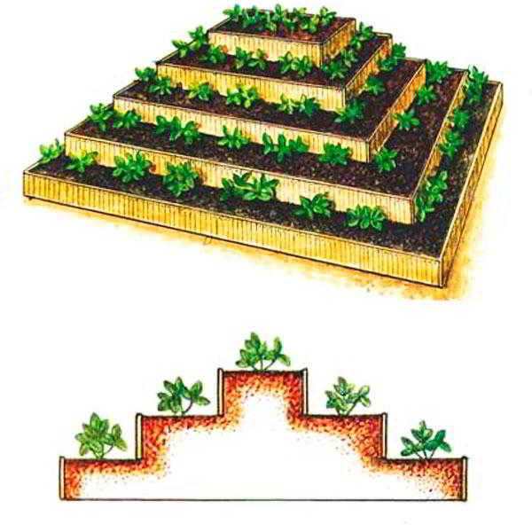 Грядка пирамида для клубники: чертежи, фото