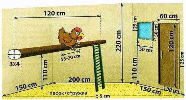 Как построить птичник на 10-20 кур своими руками