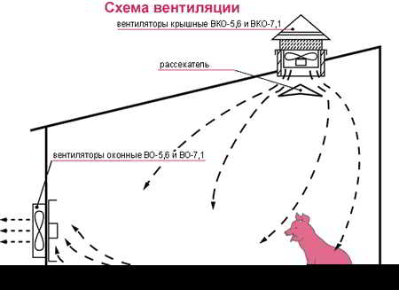 Вентиляция фермы – необходимость, виды и дополнительные условия работы