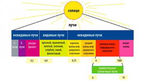 Инфракрасная пленка для отопления: преимущества, область применения и монтаж