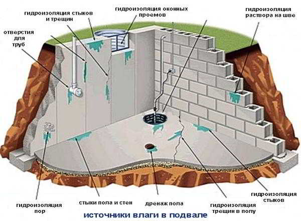 Как навсегда избавиться от влажности в подвале
