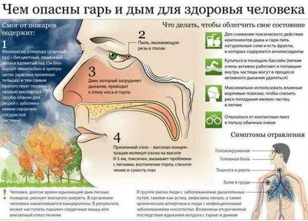 Дымоходы и вентиляция: опасность, эксплуатация и профилактика Дымоходы и вентиляция: опасность, эксплуатация и профилактика