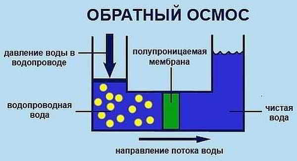 Как очистить воду из скважины: фильтры и народные способы Как очистить воду из скважины: фильтры и народные способы