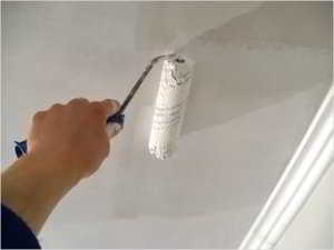 Чем лучше подшить потолок в частном доме, советы специалистов по выбору подходящих материалов