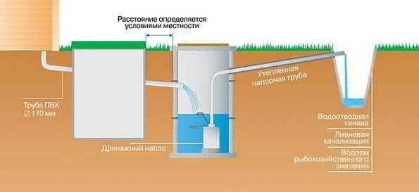 Как выбрать дренажные насосы для канализации Как выбрать дренажные насосы для канализации