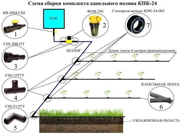 Системы капельного полива: производители, комплектация, отзывы