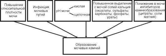 Как очистить унитаз от мочевого камня – несколько полезных советов