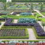 Декоративный огород: делаем красивые грядки &mdash; 60 фото