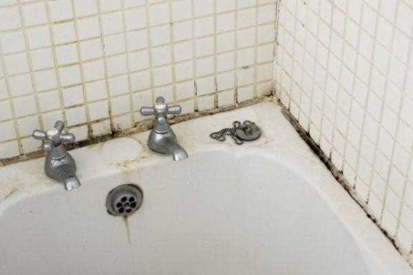 Как правильно удалить плесень в ванной комнате с герметика