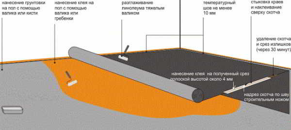 Как уложить линолеум на бетонный пол: варианты монтажа