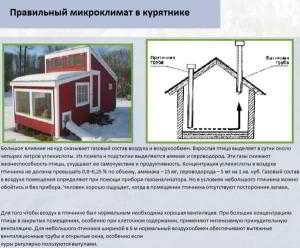 Зимнее содержание кур или правильный курятник