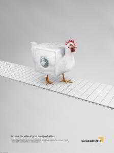 Куры в рекламе и рекламные ролики с участием курицы