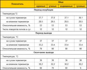 Почему инкубация яиц в домашних условиях очень выгодное дело