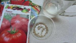 14 растворов для замачивания семян томатов перед посевом