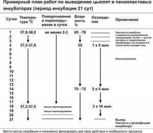 Температура выведения цыплят в инкубаторе – таблица