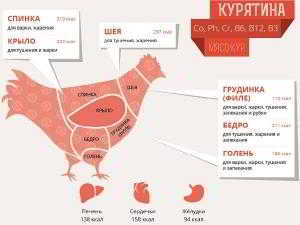 Пищевая ценность куриного мяса и химический состав