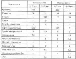 Нормы кормления кур несушек в домашних условиях