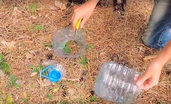 Раколовка из бутылок: фото, видео изготовления