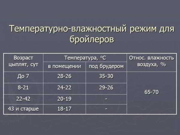 Брудер для бройлеров — содержание цыплят, какая температура должна быть