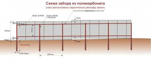 Забор из поликарбоната своими руками. Видео