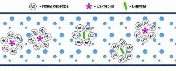 
			Активный кислород для бассейнов		