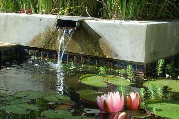 	Декоративный пруд: эффектное украшение вашего сада				