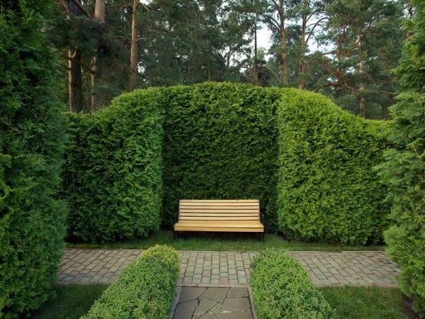 Из чего и как сделать живую изгородь: лучшие идеи и фото