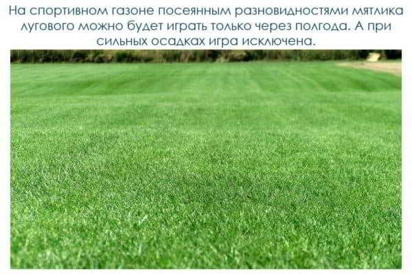 Как сделать баскетбольную площадку на даче своими руками