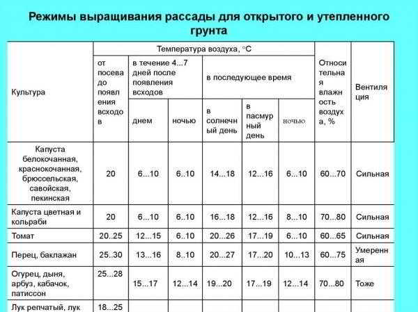 Как влияет температура воздуха и почвы на рассаду томатов и как выбрать правильное освещение Как влияет температура воздуха и почвы на рассаду томатов и как выбрать правильное освещение