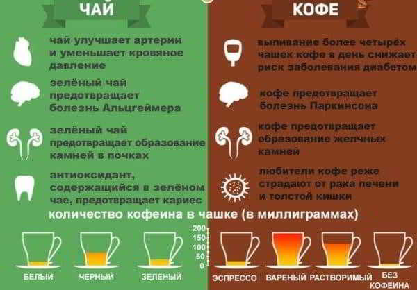 Как выбрать чайник электрический: виды эмалированных чайников