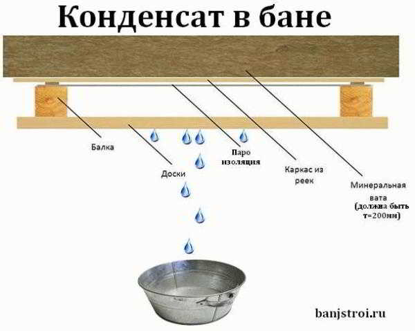 
			Конденсат в предбаннике что делать		