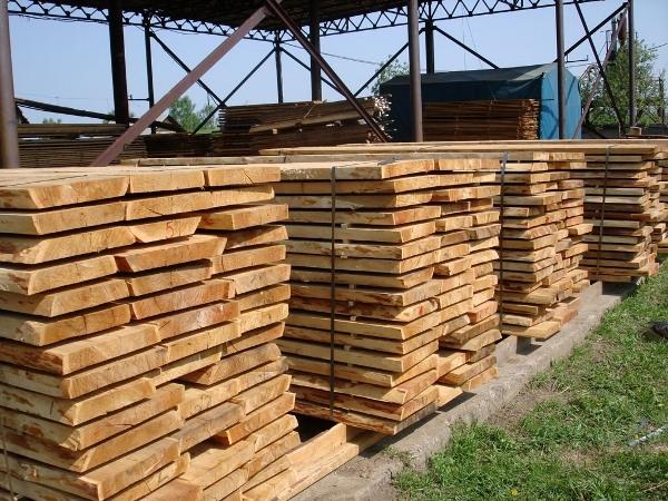 Лучший способ предотвратить гниение дерева