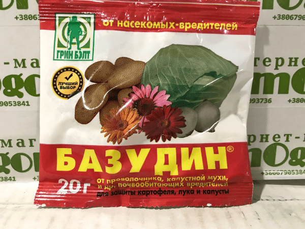 Сидераты, народные советы и химикаты &ndash; основные способы борьбы с проволочником