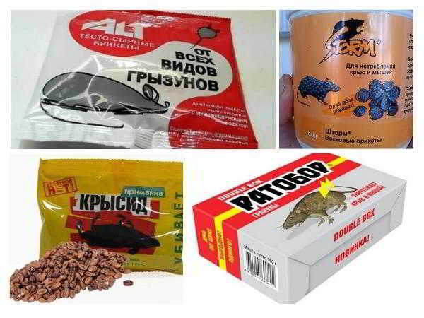 Способы ловли мышей дома, их положительные и отрицательные стороны Способы ловли мышей дома, их положительные и отрицательные стороны