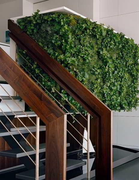 	Вертикальный сад в квартире: живые растения на стене в разном дизайнерском исполнении				