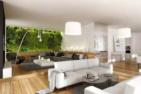 	Вертикальный сад в квартире: живые растения на стене в разном дизайнерском исполнении				