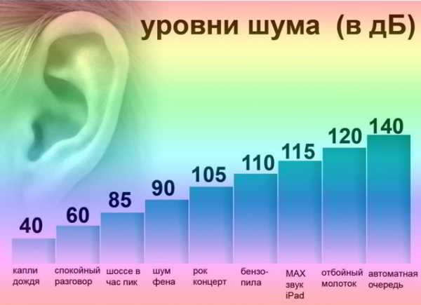 Насколько громко пение петуха – сравнение