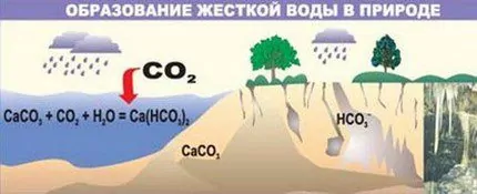 Очистка воды из колодца: обзор самых лучших и действенных способов