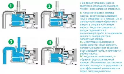 Самовсасывающие насосы для воды: виды, принцип работы, рекомендации по эксплуатации