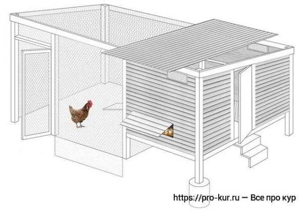Строим зимний курятник для дачи своими руками
