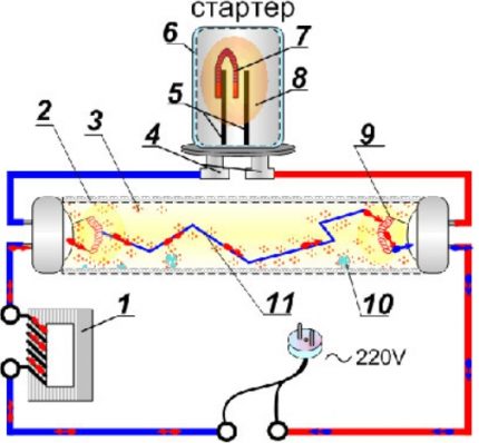 Стартер для люминесцентных ламп: устройство, принцип работы, маркировка + тонкости выбора