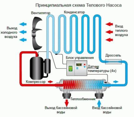 
			Циркуляционные насосы для бассейнов		