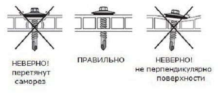 Изготавливаем душевые перегородки с использованием поликарбонатных листов Изготавливаем душевые перегородки с использованием поликарбонатных листов
