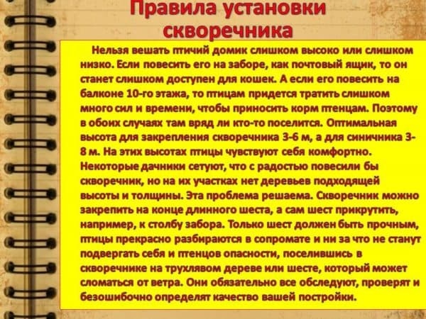 Как сделать скворечник для птиц своими руками: из фанеры и подручных материалов