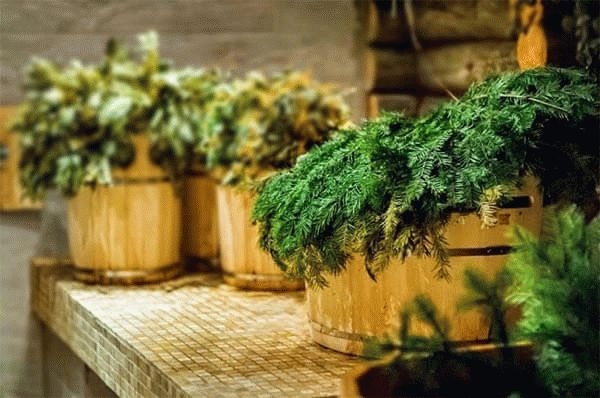 
			Как запарить веник из можжевельника		