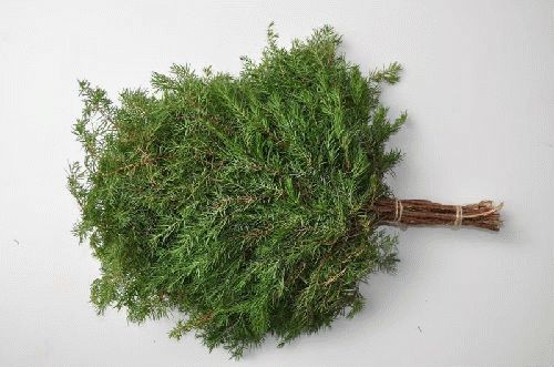 
			Как запарить веник из можжевельника		